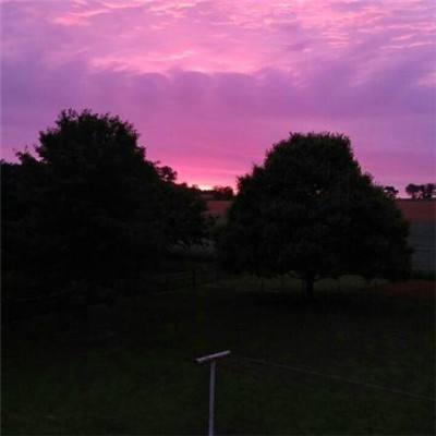 beat365下载唯一官方网